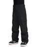Volcom snowboard pants - L Gore Tex (black)