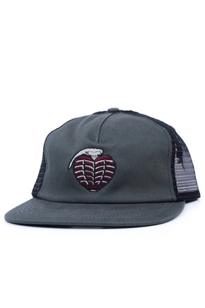 Thunder baseball cap - OG grendae snap (grey)