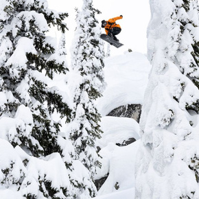 Lib Tech Snowboard -Lib Rig C