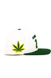 DGK baseball cap - Team Indica Snapback (white)