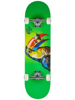 Push complete board - Toucan Fade FP (green)