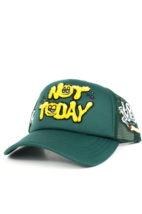 DGK baseball cap - Not Today Trucker (green)