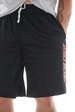 Emerica Shorts - Em X Sc Meshy black