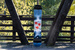 GNU Snowboard - Money C2E