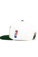 DGK baseball cap - Team Indica Snapback (white)