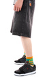  Santa Cruz Shorts - Big Shorts (washed black)