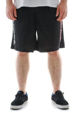 Emerica Shorts - Em X Sc Meshy black