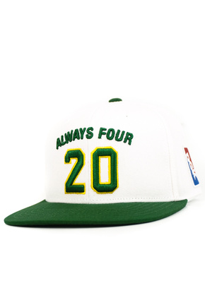 DGK baseball cap - Team Indica Snapback (white)