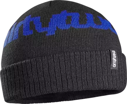 Czapka zimowa Thirty Two - Double Beanie (black/blue)