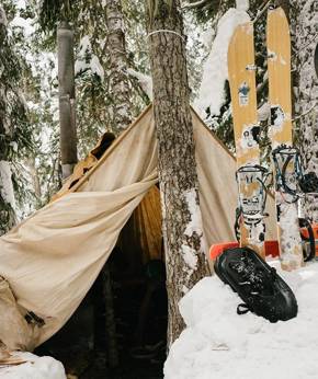 ARBOR + KOHLA SplitGrip Climbing Skins - Foki Arbor Coda