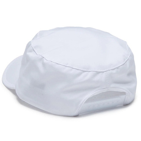 Czapka z daszkiem Antihero - Painters Cap Grimple (white)