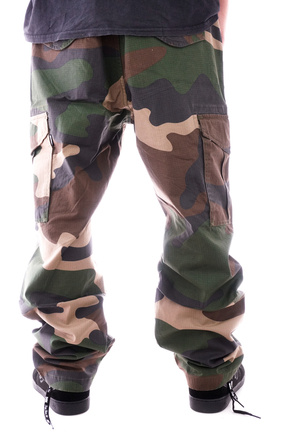 Spodnie DGK - O.G.S Cargo pants (big woods camo)