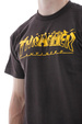 Koszulka Thrasher - Pigeon Mag T-shirt (dark chocolate)