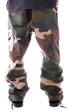 Spodnie DGK - O.G.S Cargo pants (big woods camo)